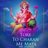 About Tore To Charan Me Mata Song